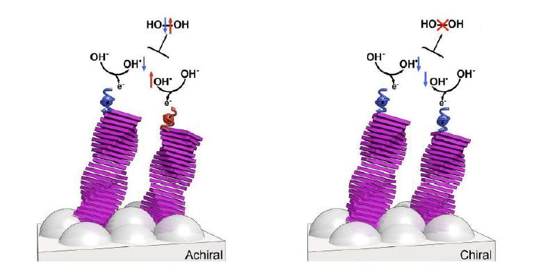 chiral molecules select electron spins