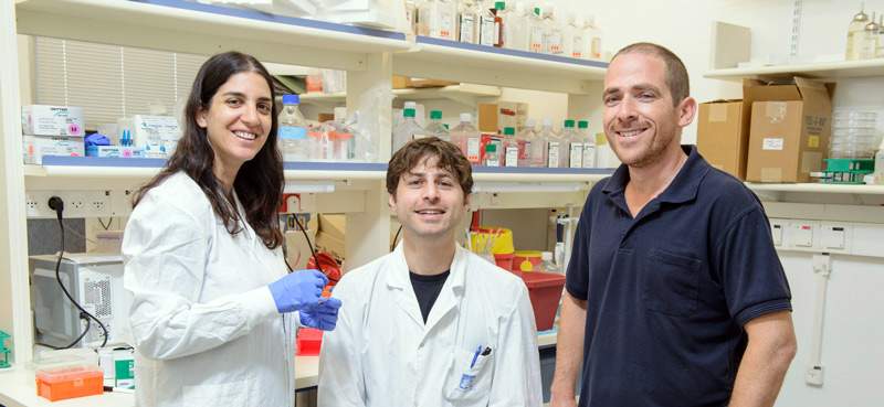 Dr. Shalev Itzkovitz (r), Keren Bahar Halpern (l) and Dr. Doron Lemze have discovered why some RNA sticks close to home 