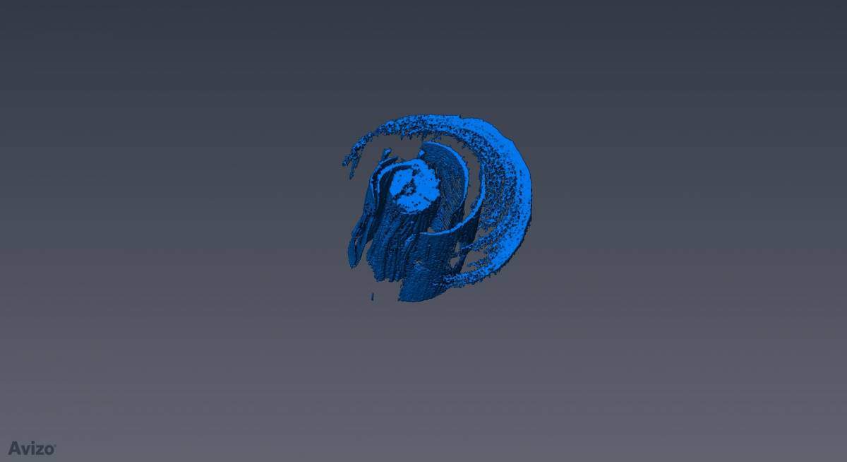 A micro-computer tomography scan of a Jerusalem pine branch, performed after a dry spell, reveals large amounts of air (blue) filling the water channels 