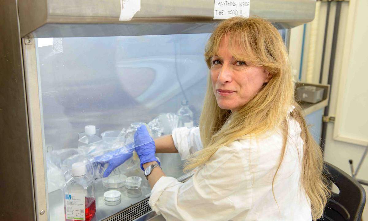 Name: Dr. Rachel Sarig Department: Molecular Cell Biology