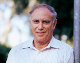 Prof. David Mirelman