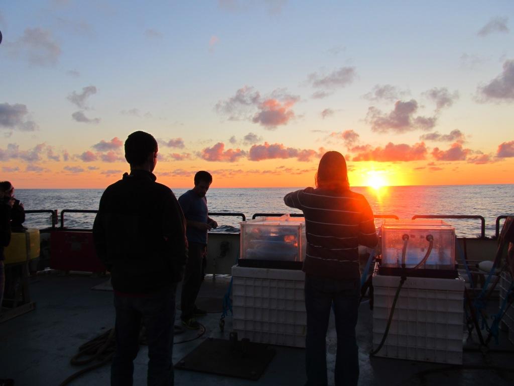 sunset on a research ship