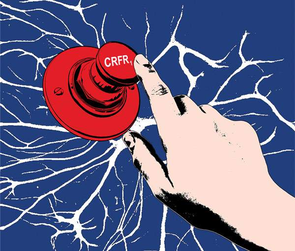 The CRFR1 receptor is used only in stressful situations