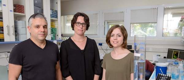 Prof. Eli Arama and group members Dr. Lior Aram (center) and Tslil Braun found a mechanism that tames a destructive enzyme