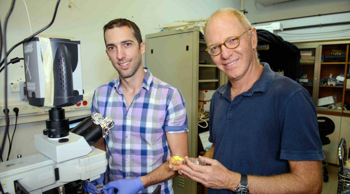 (l-r) Dr. Dan Bracha and Prof. Roy Bar-Ziv are creating nanocables of condensed DNA