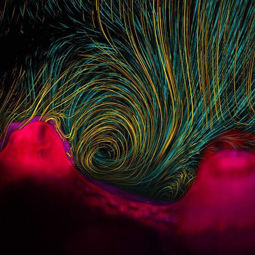 Invisible Coral Flows, the winning photography entry