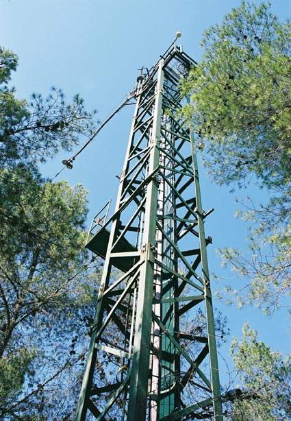 FLUXNET tower in the Yatir forest