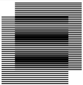 The moire effect: two nearly-identical fine scales provide for a high measurement sensitivity, while the coarse scale generated in their overlap increases the measurement’s range