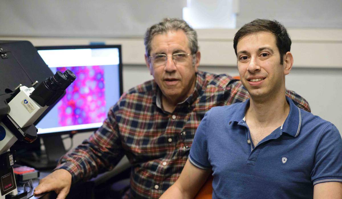(l-r) Prof. Benjamin Geiger and Yair Elisha think tethers may help promote metastasis