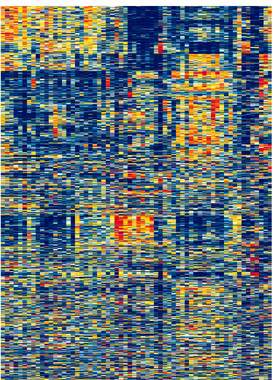 Clustering algorithm reveals gene expression patterns