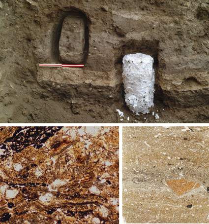 microscopic archaeological samples reveal ancient lifestyles