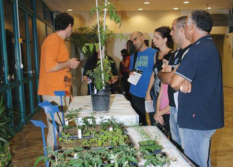 Getting acquainted with genetically engineered plants during Researchers' Night
