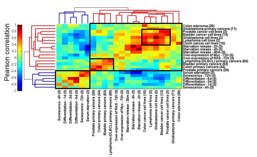 Algorithm-generated comparisons among the genomes of cells from 450 tissue samples: The analysis revealed a striking similarity (red colors, upper right rectangle) in tRNA signatures among cancerous cells and healthy dividing cells, as well as a degree of similarity among the non-dividing cells (red colors, lower left rectangle), whereas no such similarity (blue) was found when dividing cells were compared with non-dividing ones