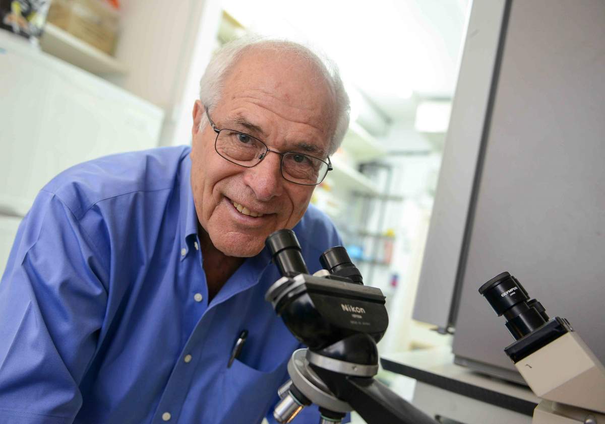 פרופ' זליג אשחר, 2014