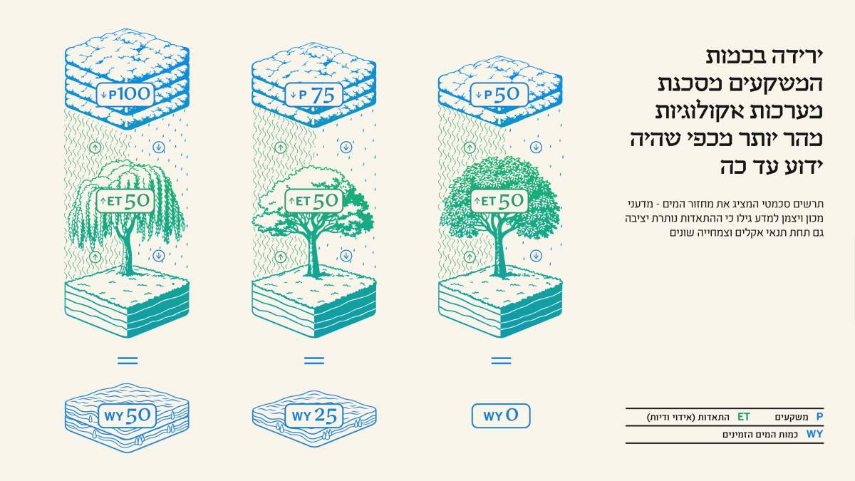 אינפוגרפיקה