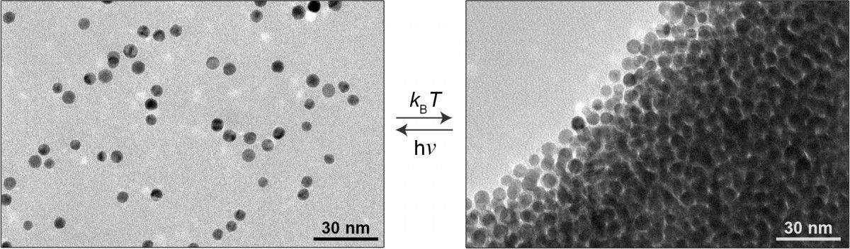 Nanoparticles in a light-sensitive medium scatter in the light (left) and aggregate in the dark (right) This method could be the basis of future "rewritable paper" 