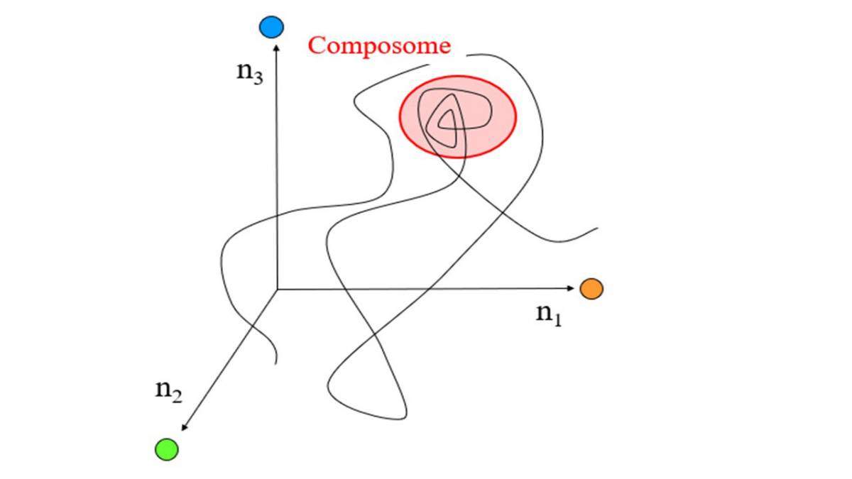 A “walk” in composition space for a lipid world molecular assembly, shown in simplified 3 dimensions. A point on the line signifies a specific composition along the time axis, whereby the three coordinates are amounts of the three different molecule types. A composome (pink background) is a time interval when the composition stays almost unchanged, signifying compositional replication