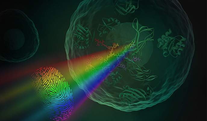 cover: shining a light on the molecular fingerprint 