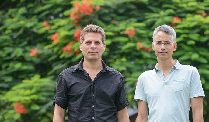 Alon Shepon and Prof. Ron Milo investigated the environmental cost of our food