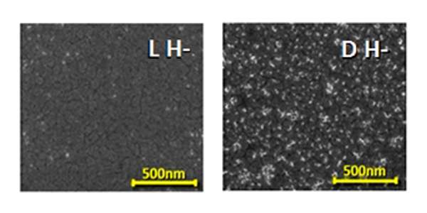 A magnetic surface attracts right-handed molecules (left) of a biological material called oligopeptide, but not left-handed ones (right). Viewed with an electron microscope