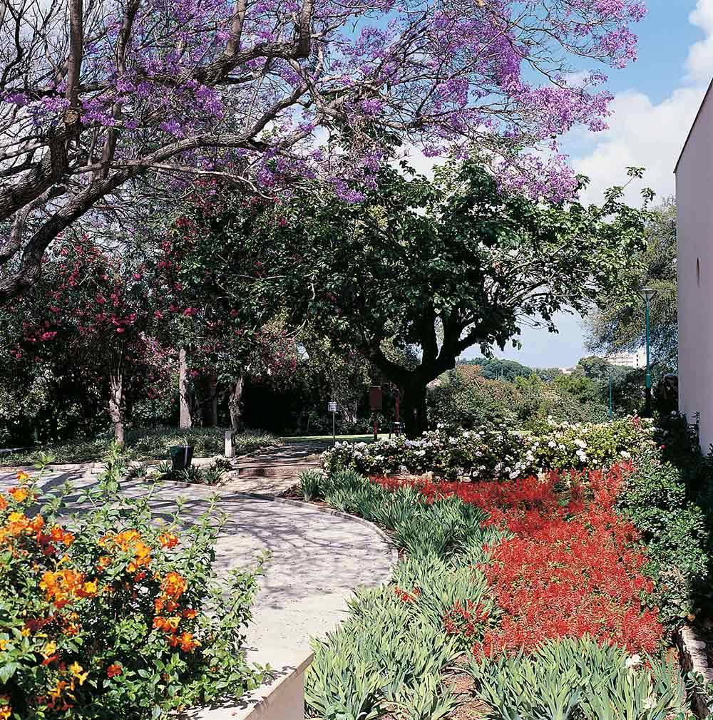 Weizmann House garden