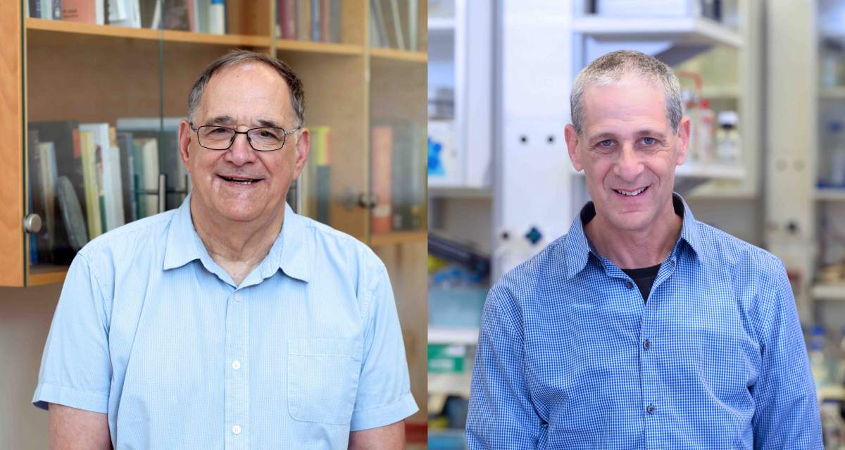 (l-r) Prof. Ron Naaman and Prof. Yossi Paltiel