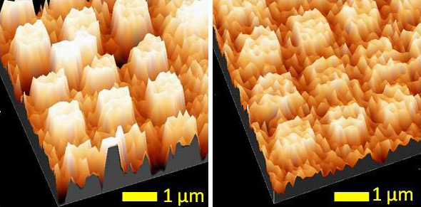 Adsorption of crystals of a biological chiral molecule onto a gold-coated cobalt surface. Larger crystals of one specific form of the molecule (left) tend to accumulate on this surface to a greater degree than those of its mirror-image form (right). In the left image, the crystals reach heights of about 1.2 nm, whereas in the right image they do not exceed 0.8 nm. The physical advantage of one form over the other in accumulating on the magnetic surface suggests that, in a competitive setting, it would become the dominant (“winning”) form