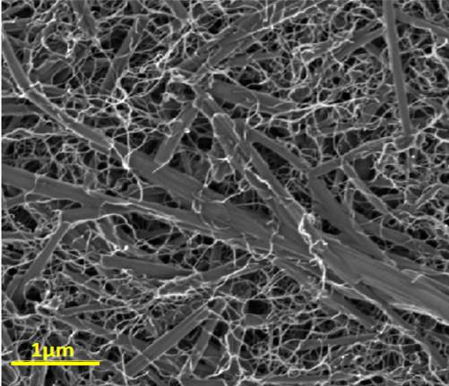 Hybrid nanocomposite viewed with an electron microscope: Carbon nanotubes (thin threads), separated from one another, coil around rod-like organic dye nanocrystals