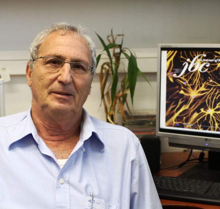 Prof. Yoram Shechter