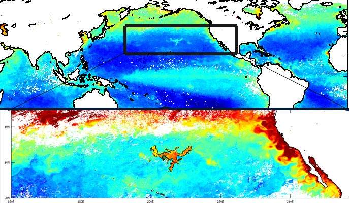Surface chlorophyll concentration derived from NASA's space-born sensor MODIS-Aqua on October 2007. Upper panel shows the global patterns of surface chlorophyll during that month, bottom, area in the box. Note that the bloom, which starts as small-scale elongated patches, can be identified even in this global image of the oceanic biosphere 