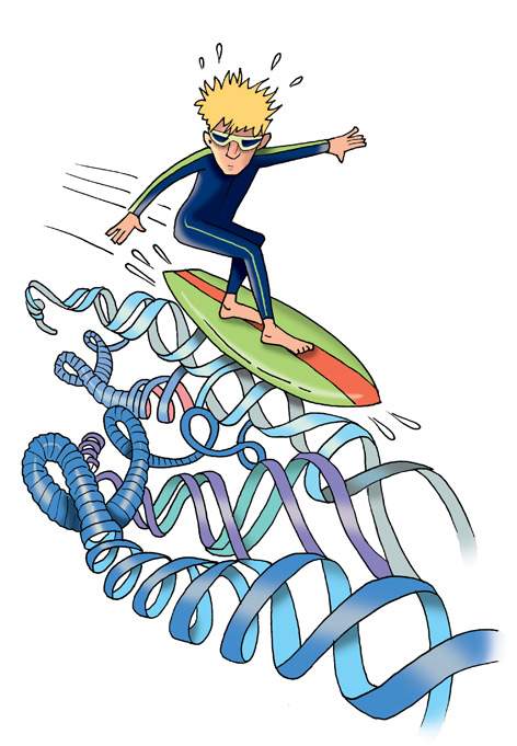  Illustration: Surfing on the DNA