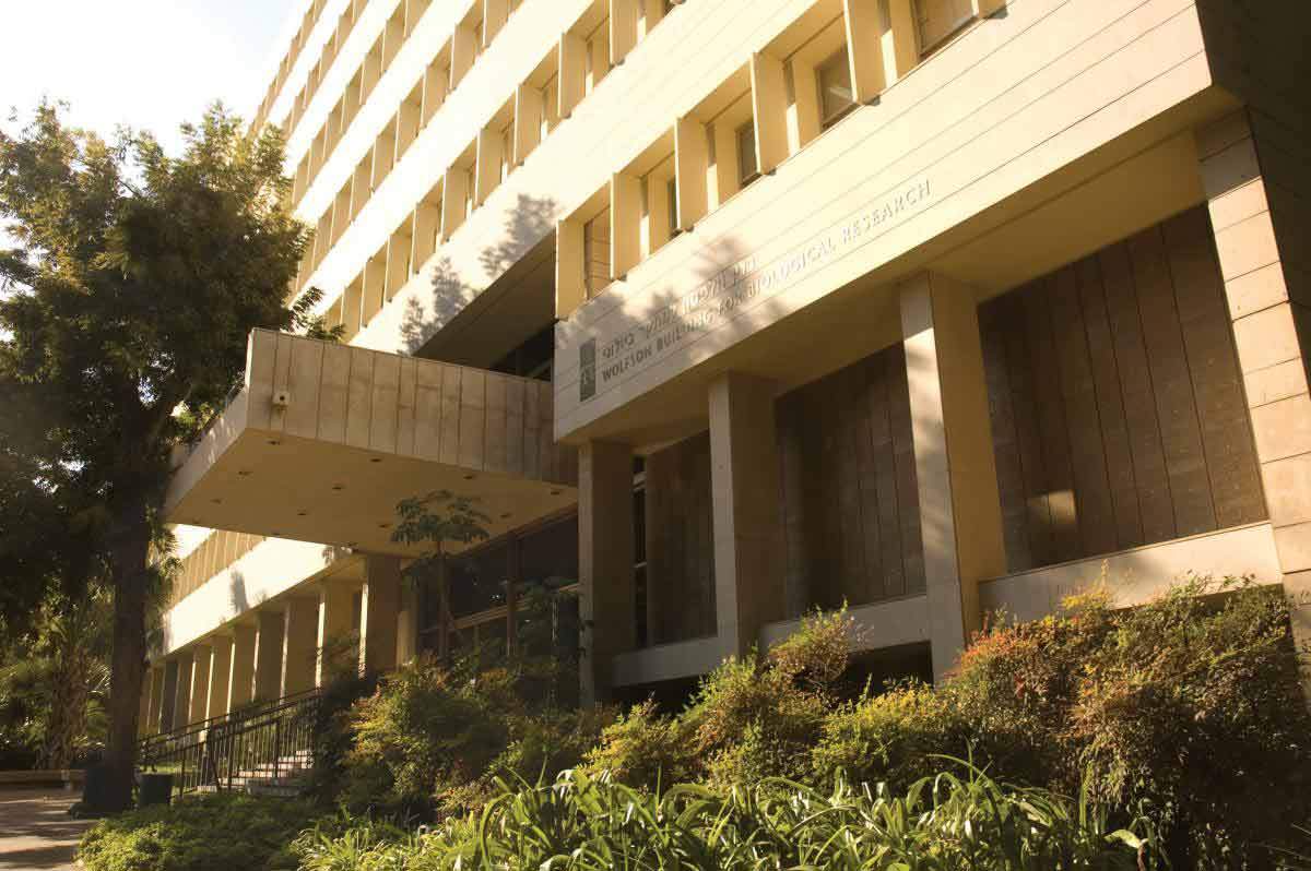 The Wolfson Building for Biological Research. Architects: Benjamin Idelson, Gershon Zippor, Nahum Zalkind and Moshe Harel