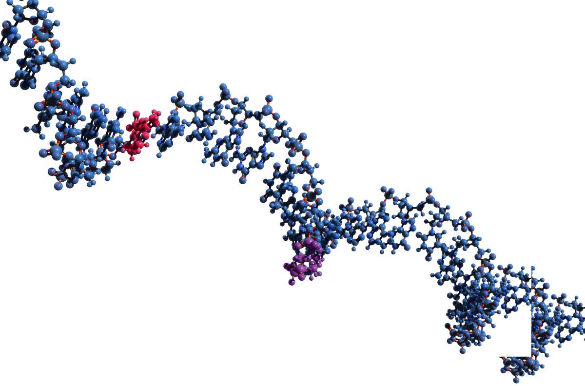 Conserved "beads" comprised of just a few bases, separated by longer segments, on a lncRNA molecule, may reveal which parts of the chain are the most crucial to its function 