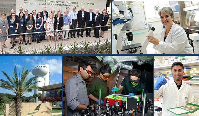 Weizmann Institute of Science: We recruit scientists who are among the best in the world and let them follow their curiosity
