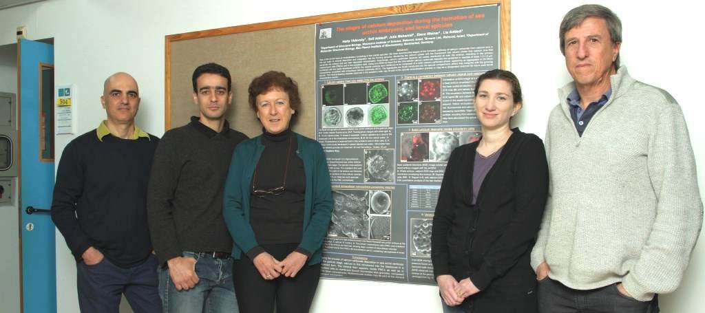 (l-r) Dr. Eyal Shimoni, Dr. Sefi Addadi, Prof. Lia Addadi, Netta Vidavsky and Prof. Stephen Weiner