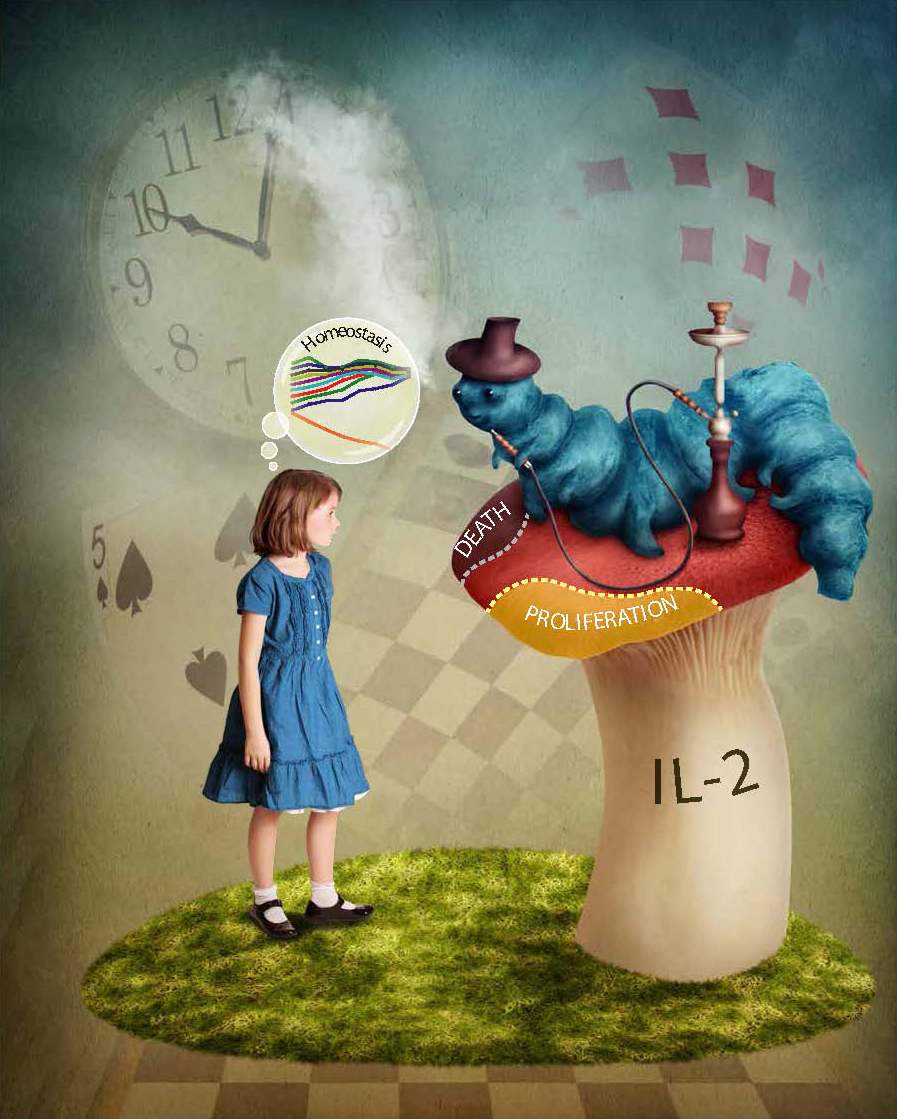 Paradox Alice in Wonderland