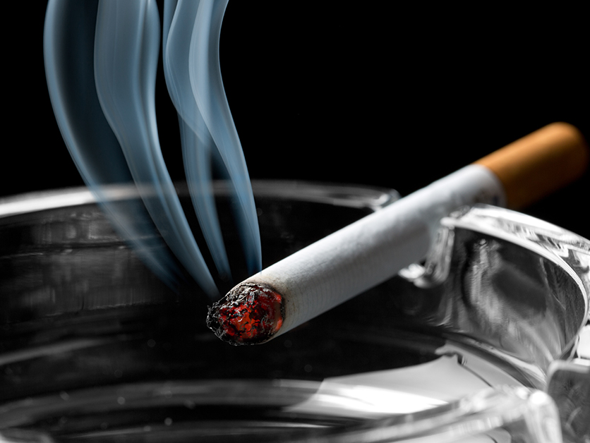 Gut Microbes May Drive Weight Gain after Smoking Cessation Life Sciences Weizmann Wonder