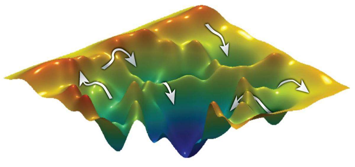 Experiments revealed multiple possible “paths” through a protein’s folding landscape