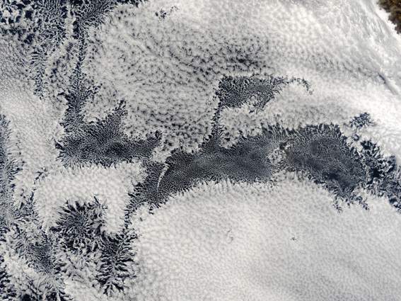 Satellite image of a marine stratocumulus system, courtesy of NASA