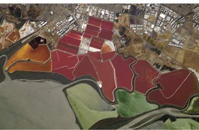 Bacteriorhodopsin-containing microorganisms give these evaporation ponds near San Francisco their color