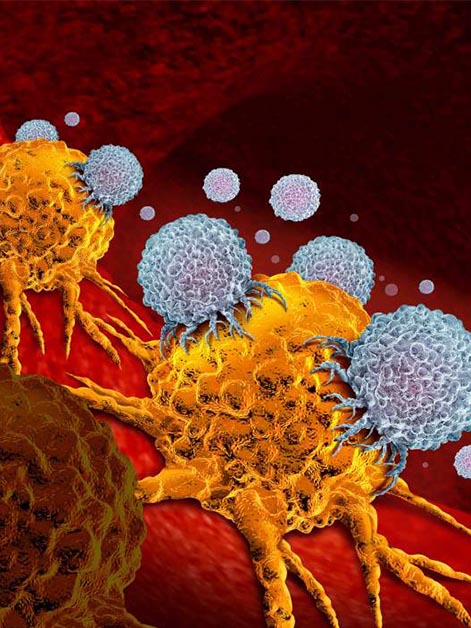immunotherapy illustration