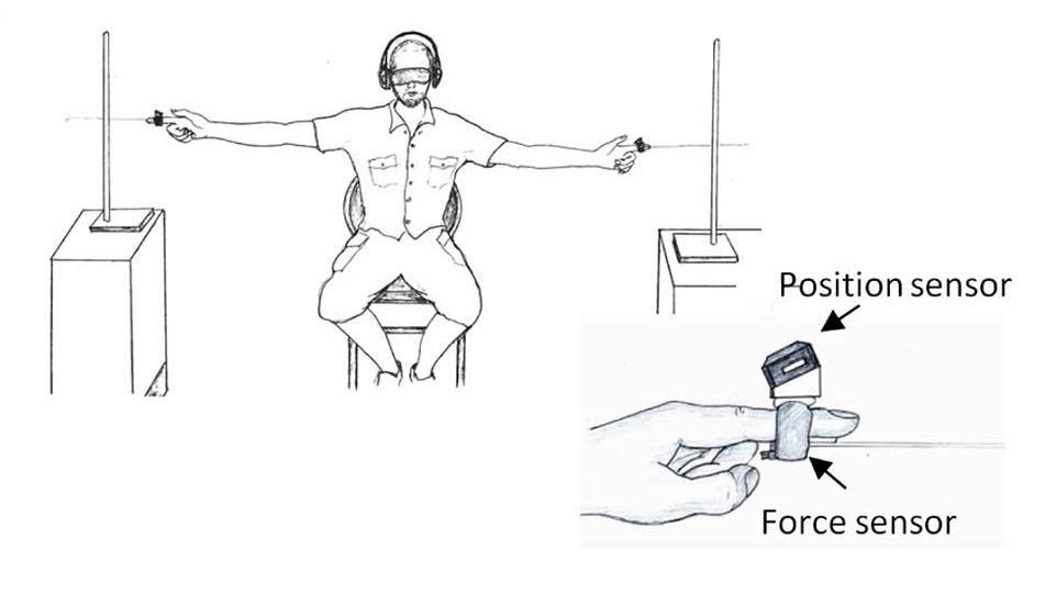 Illustration: attaching plastic “whiskers” to the fingers of blindfolded volunteers and asking them to carry out a location task