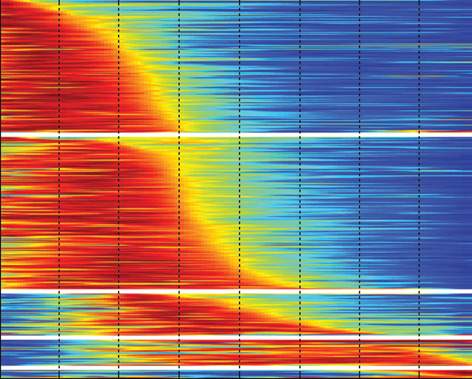 chemotherapy alters protein levels in cancer cells