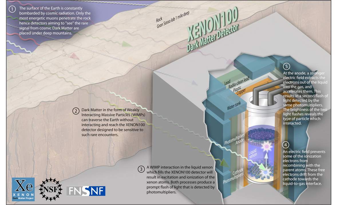  WIMP detection principle in the XENON100 experiment