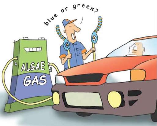 Better biodiesel cartoon