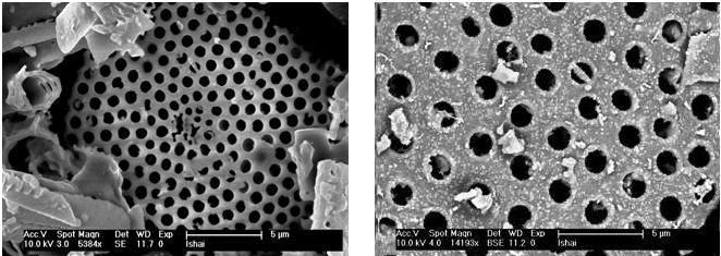 Scanning electron microscope images of representative samples of (left) clean diatomite and (right) diatomite composite with zero valent iron (small white dots) and vitamin B12 (not visible)