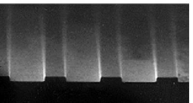 A SEM figure of the etched waveguides composing the optical quasicrystal