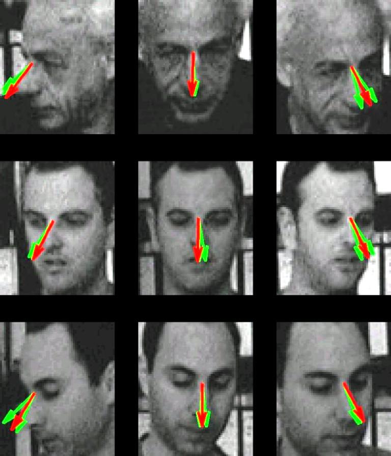 Predicted direction of gaze: results of algorithm (red arrows) and two human observers (green arrows). Faces, top to bottom, belong to Prof. Shimon Ullman, Daniel Harari and Nimrod Dorfman