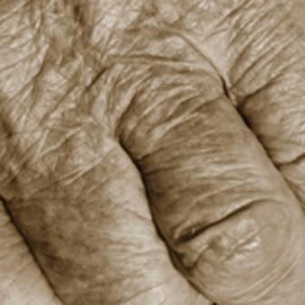 Grandmother's hand, photo by Dr. Sharon Amit