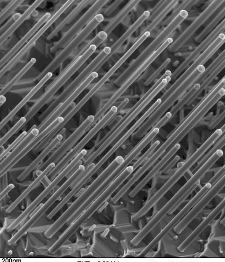 Nanowires from the lab of Dr. Hadas Shtrikman